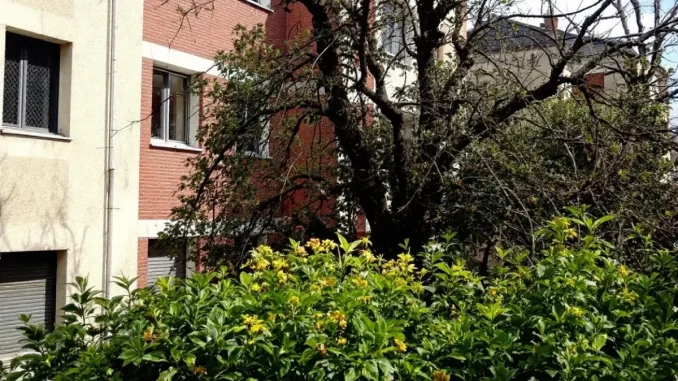 le-refus-dautorisati